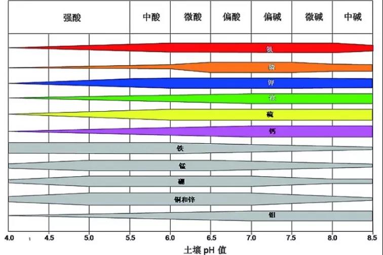 土壤PH速測(cè)儀，快速測(cè)PH